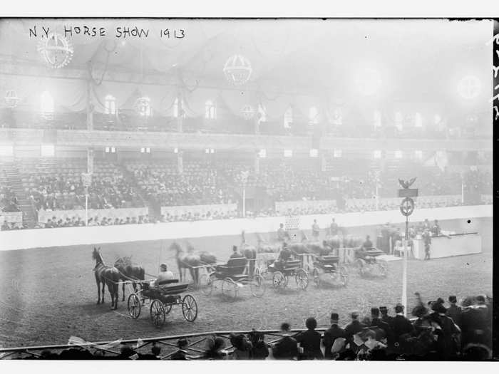 MSG III during a horse show