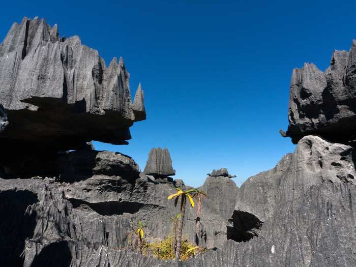 Tsingy de Bernaraha National Park in Madagascar is a UNESCO World Heritage Site. The "forest" of limestone needles was made when underground water eroded the existing limestone.