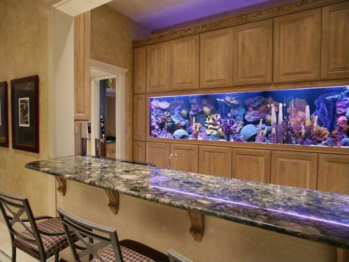 Bar with front row seats to the 500-gallon saltwater aquarium