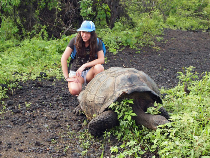 Galapagos Islands, Ecuador