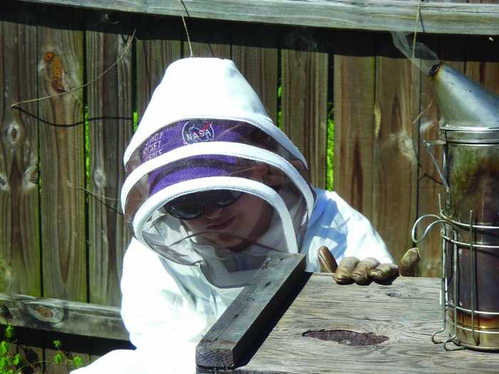 Caroline Nolan is helping honey bees thrive.