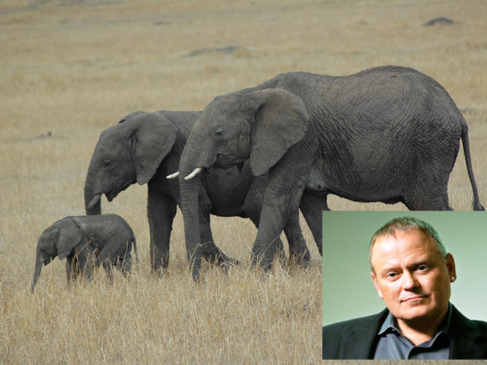 Bob Parsons, CEO of GoDaddy, got a lot of press for his rather notorious hobby: elephant hunting.