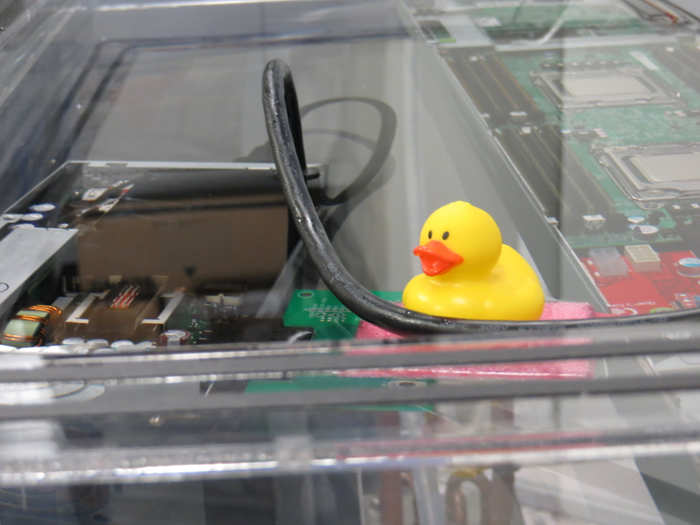 The rubber ducky is private joke, Tal says. The guy that leads the OCP project, Frank Frankovsky, likes to go duck hunting.