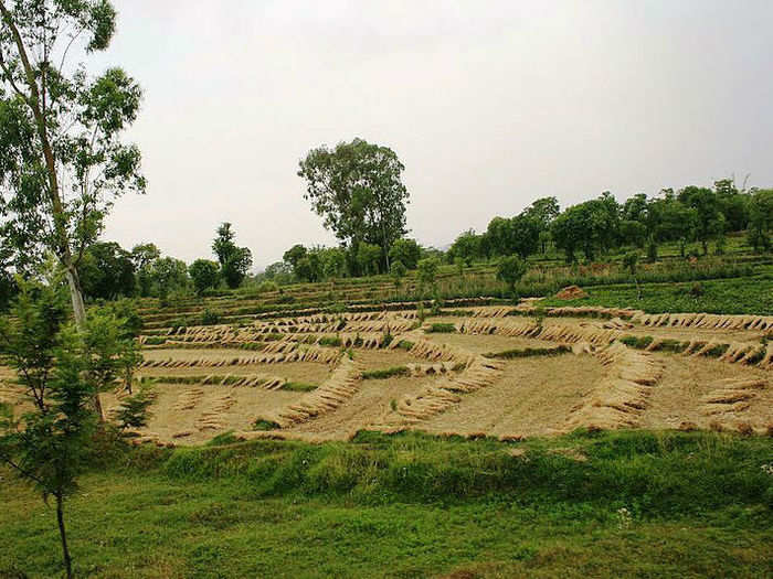 Kangra Valley Railway (Pathankot-Joginder Nagar, Punjab-Himachal Pradesh)