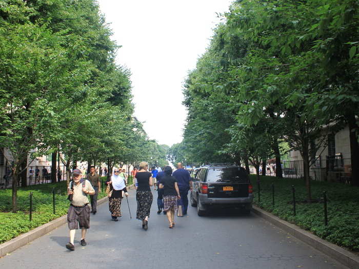 The walk into Columbia on 116th street is tree lined, a nice break from the concrete jungle of New York.