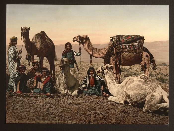 Lots of people traveled around on camels.