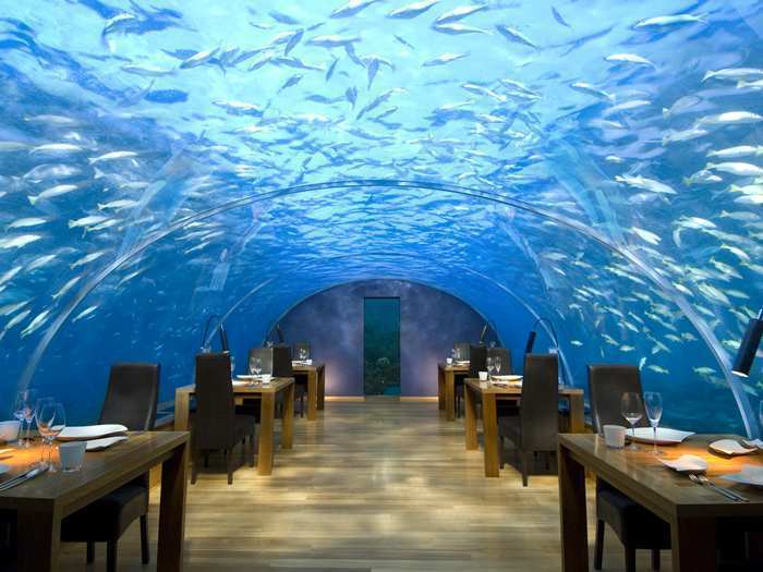 Dine underwater and check out the sea life at a Maldives restaurant.