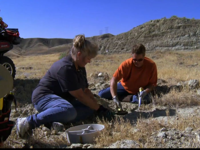 Scientists (and the public) can dig fossils out of the privately owned Shark Tooth Hill.