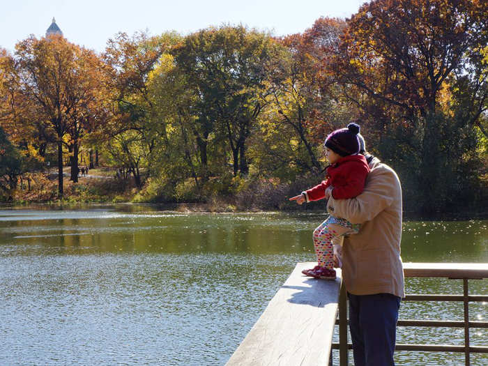 Animal spotting in Turtle Pond is great for kids ...