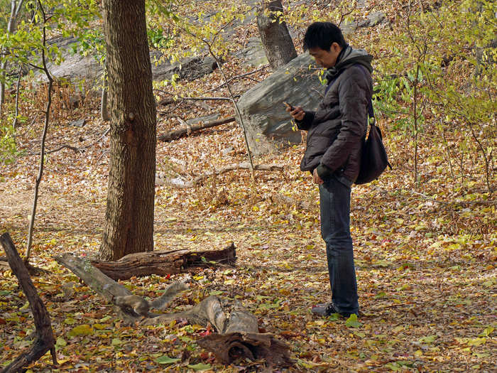 The park is full of squirrels, which tourists seem to find very cool.