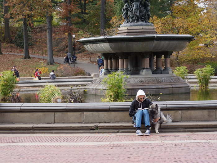 At its base is one of many excellent spots for reading.