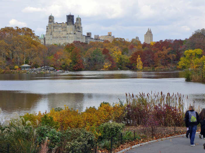 At any point you can pick out a rock on the scenic Central Park Lake ...