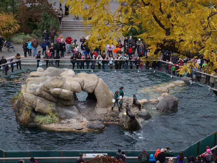 The Central Park Zoo has five acres of exhibits, including sea lions, snow leopards, and four species of penguins.