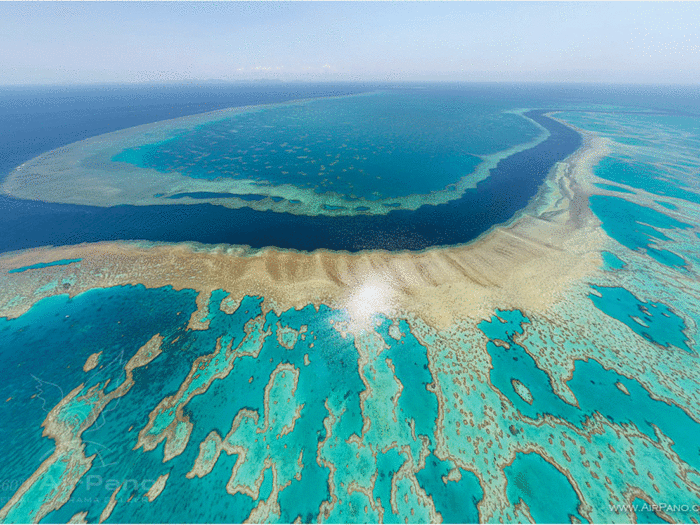 The Great Barrier Reef is the world