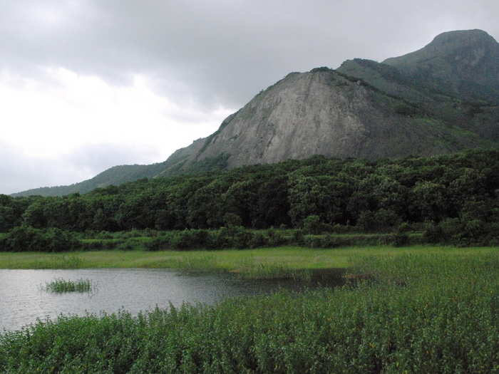 The Western Ghats, stretching nearly 1,000 miles from north of Mumbai to India