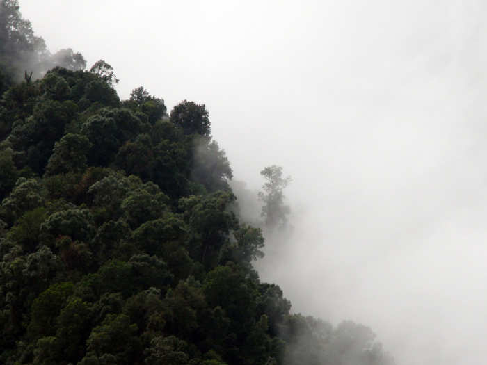 The La Amistad/Talamanca Highlands, managed by Costa Rica and Panama, is the largest nature reserve in Central America. Most of the area is covered by tropical rainforests. The region contains at least 90% of Costa Rica