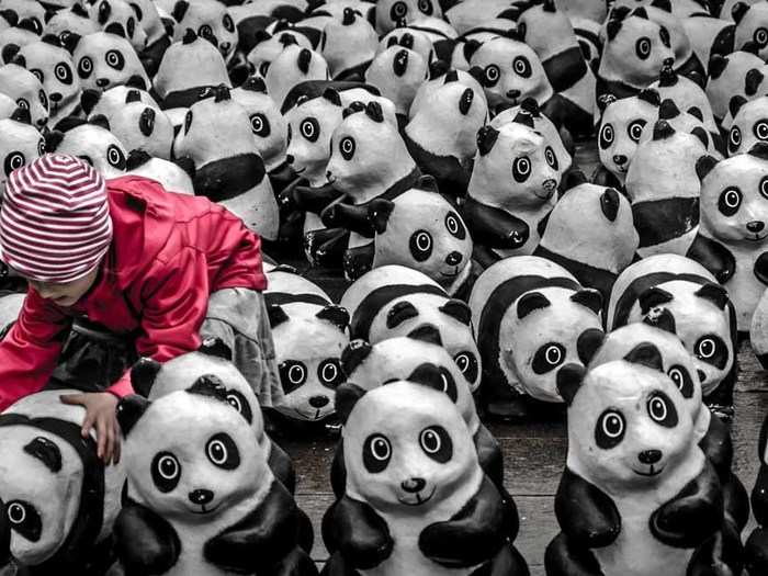 "This picture was taken during my trip to Hamburg, Germany. When I went to the city center, suddenly I saw 1,600 styrofoam panda bear sculptures stand on display in front of   Hamburg City Hall by a nature conservation organization. This is part of the campaign to   draw the attention to the fact that only 1,600 panda bears remain in the wild. The display has traveled to 25 other cities in Germany." — Teuku Firman