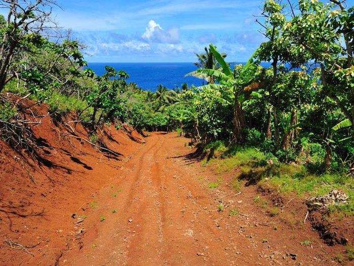 Here is one of the few dirt paths on Pitcairn Island. Residents use these paths when riding on their motor bikes.