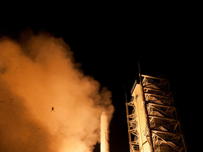 A remote camera was probably just a few feet in front of this frog when it jumped up and photobombed NASA