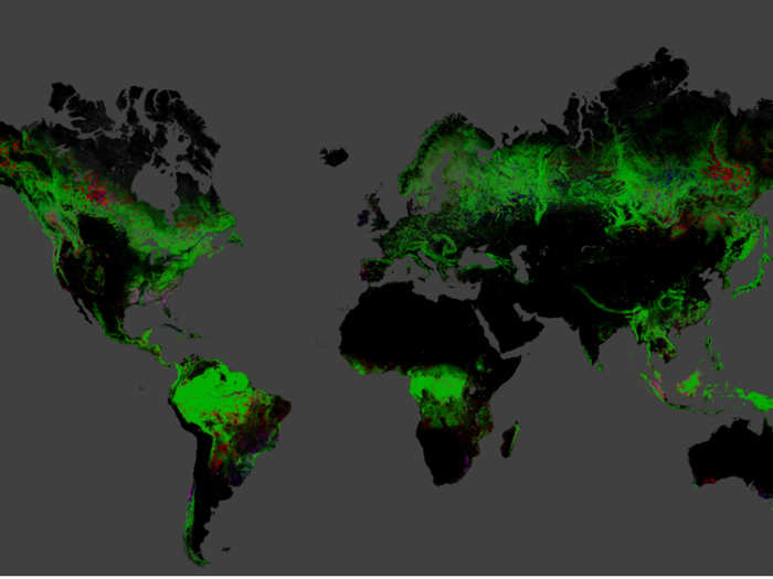 The first high-resolution global map of changes in forest cover over the last 12 years shows which parts of the world are losing forests at an alarming rate. Between 2000 and 2012, 888,000 square miles (an area roughly the size of Mexico and Arizona combined) of forest was lost, while just 309,000 square miles (an area about half the size of Alaska) of new forest was established.