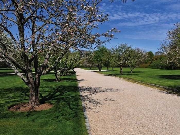 Enter the estate on a path lined with apple trees.