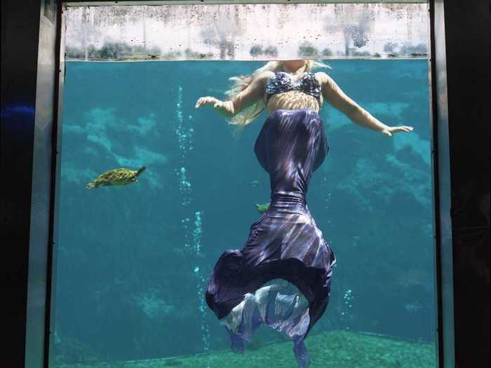 Photographer Annie Collinge spent three days with the mermaids, watching them perform and taking pictures of the park.