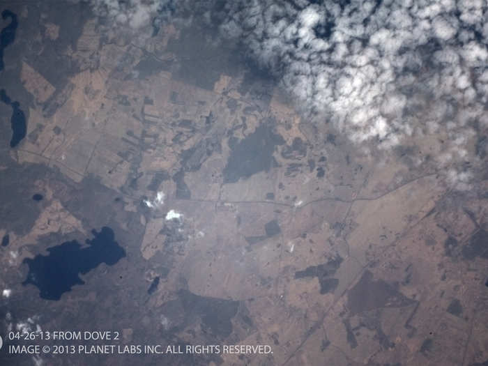 This is Droga Krajowa 11, Poland. When the founders were raising funds, they promised their tech "could count every tree on the planet," and these pictures from the test satellites proved it.