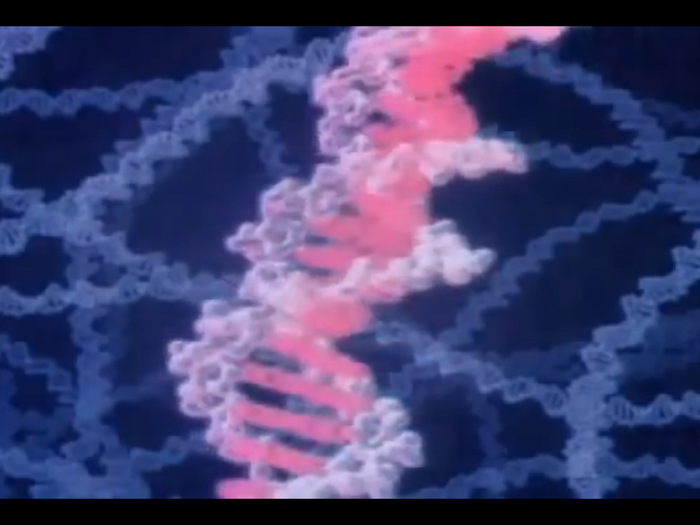 Our DNA is made up of four different molecules — A, C, T, and G. Nothing else! Looked at in this way, it