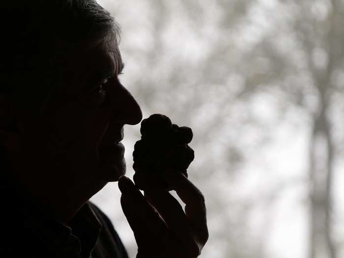 Costa sits outside his restaurant in Monchiero and smells a truffle, typically about the size of a man