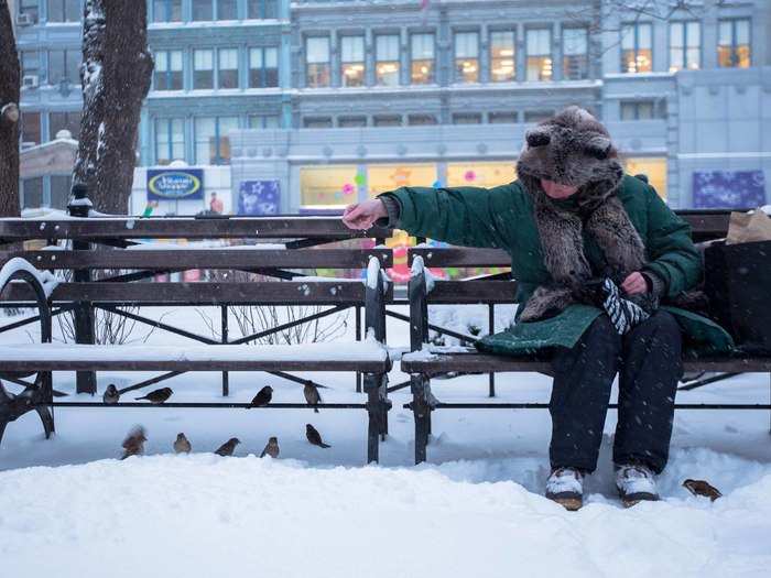 The only person in the park at that hour was Kelly, who was concerned the birds might not find enough to eat under all the snow. She braved the freezing cold to help them out.