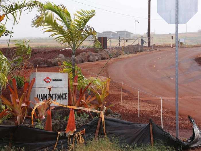 Waimea is "Ground Zero" in the fight against the largest agribusinesses in the world, which test and develop herbicides and pesticides in the area.