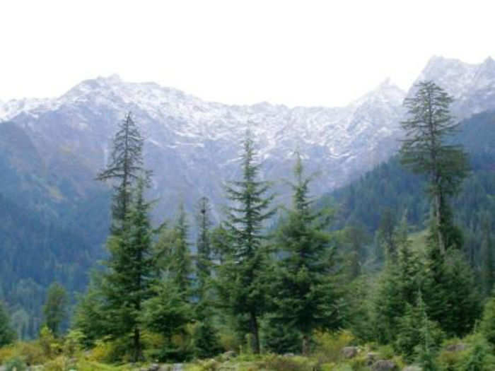 Solang Valley (Himachal Pradesh)