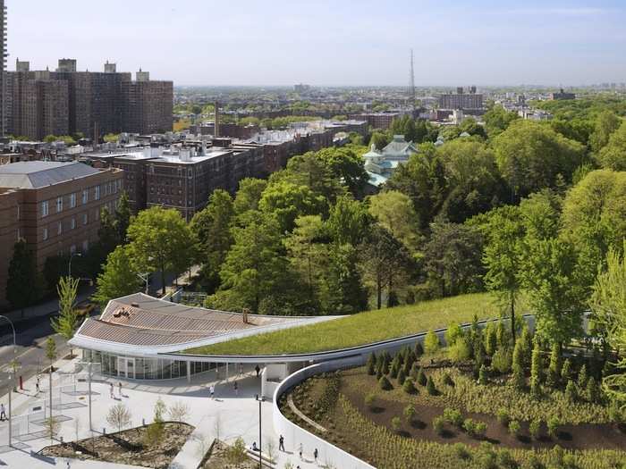 As plants from the garden extend down and over the roof of the building, the design of the Visitor Center at the Brooklyn Botanic Garden helps patrons transition from the street to nature. (WEISS/MANFREDI)