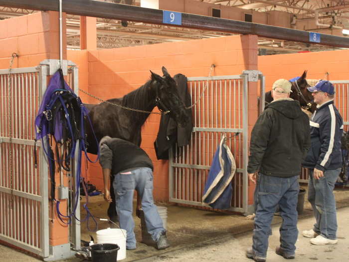 After each race, horses return to the paddock across the track from the finish line to receive a bath.