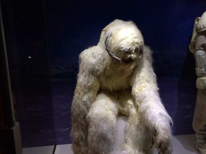 The Wampa from "Empire Strikes Back" is a lot less intimidating in person.