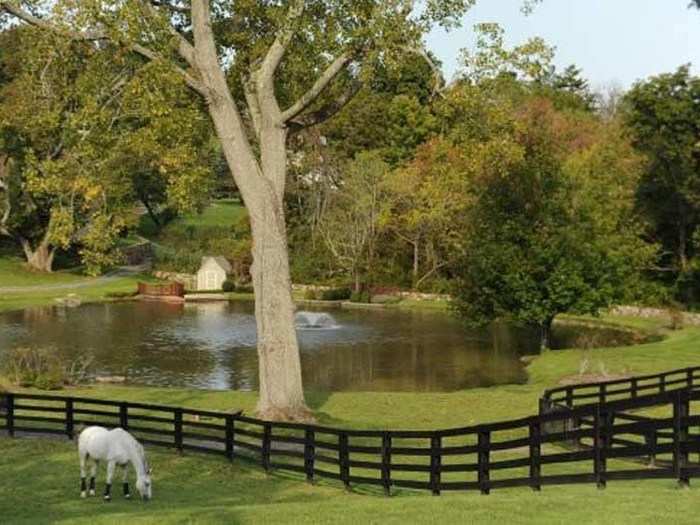 Horses can roam in one of 12 paddocks on the property.