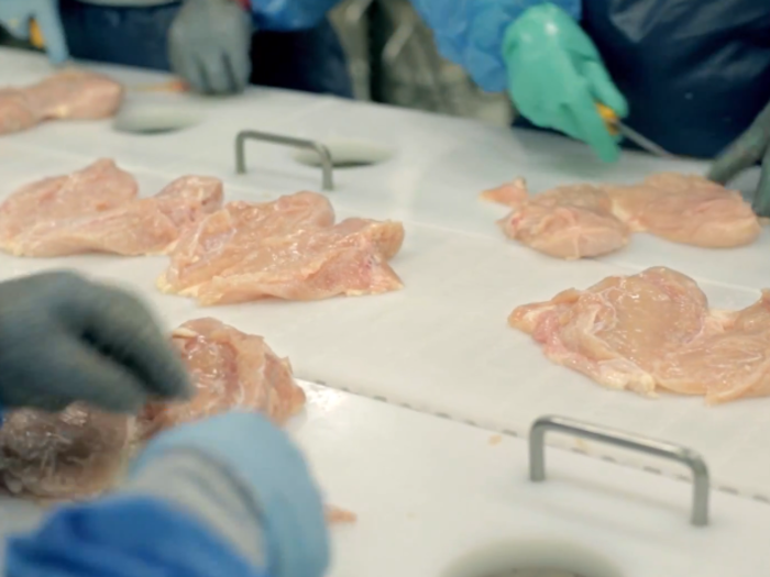 Workers trim the chicken breasts of fat and send them along an assembly line.