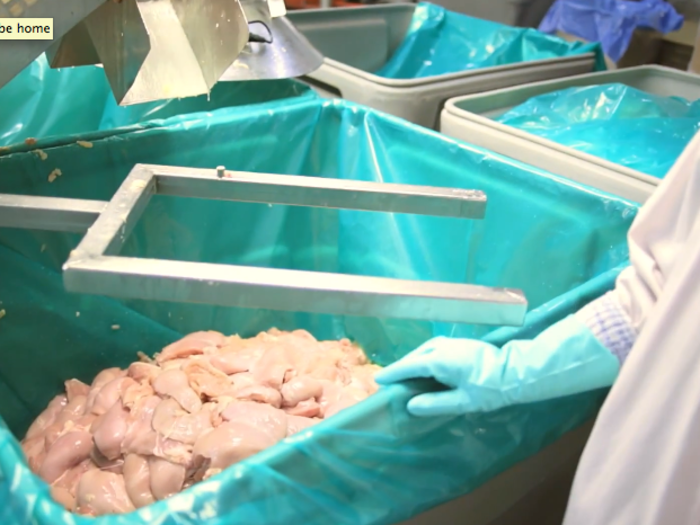 The chicken breasts that have been separated are collected into this bin.