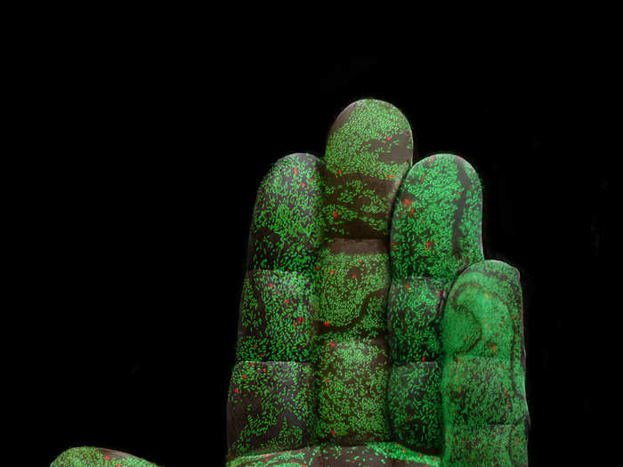 This illustration uses biofilm imaging to show the growth of bacteria on the human hand at 400 times their normal resolution.