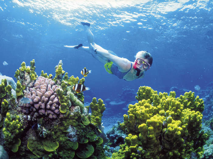 THE GREAT BARRIER BEFORE: Considered one of the most biologically-diverse regions in the world, Australia