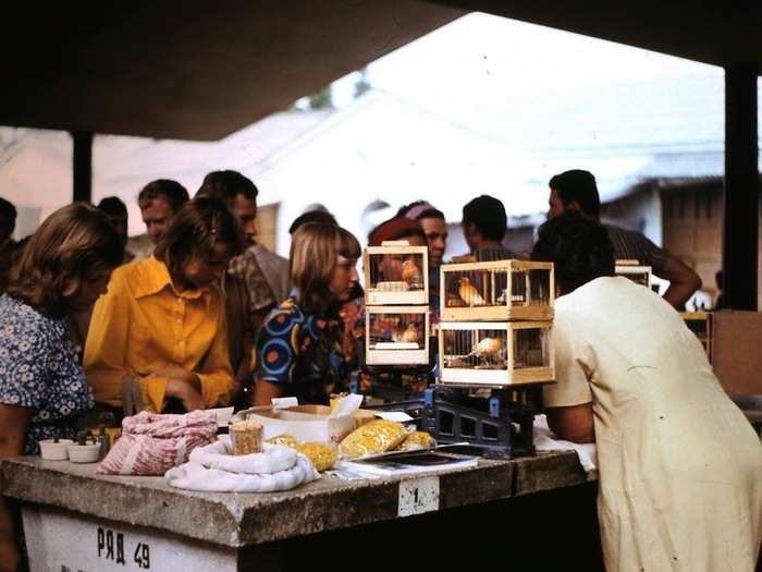 Pet birds were among the things for sale at the market.