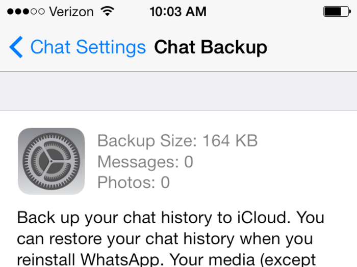 You can schedule an automatic backup of your chats to be saved to iCloud or do it manually.