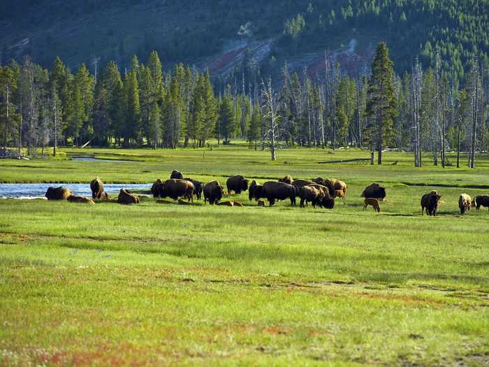 In the park, visitors can see some of North Dakota