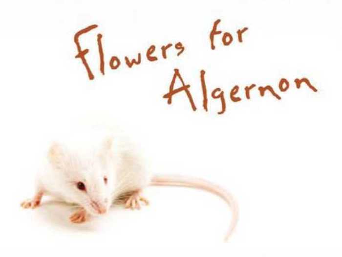 "Flowers for Algernon" by Daniel Keys