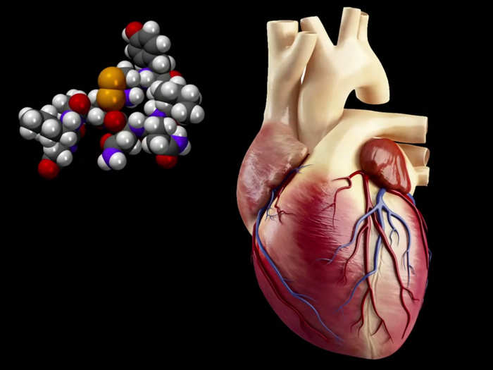 Oxytocin is an anti-inflammatory that allows blood vessels to stay relaxed under stress.