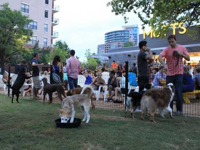 DALLAS: Mutts Canine Cantina