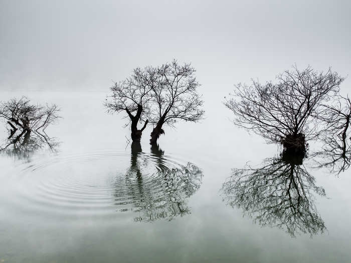 Korea:  "Ripples In The Calm Lake" by Dowon Choi