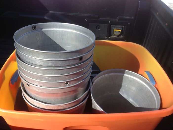 Buckets are actually an old-fashioned and inefficient way to collect sap (you