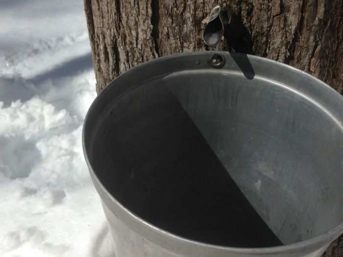 If the sap is running, quick—hang up a bucket!