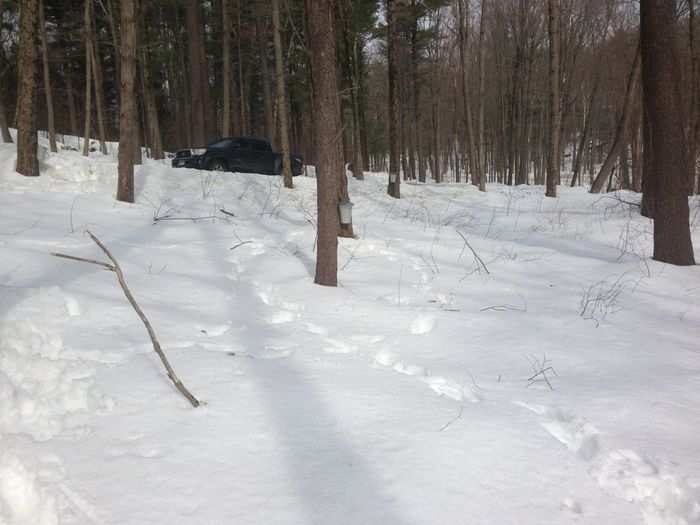 When I was a kid, a neighbor in Vermont used to let me ride around with him on a horse-drawn sleigh while he collected buckets and dumped them into a mobile tank. These days, we do it with feet and a Toyota Tacoma. (The vacuum-tube folks don